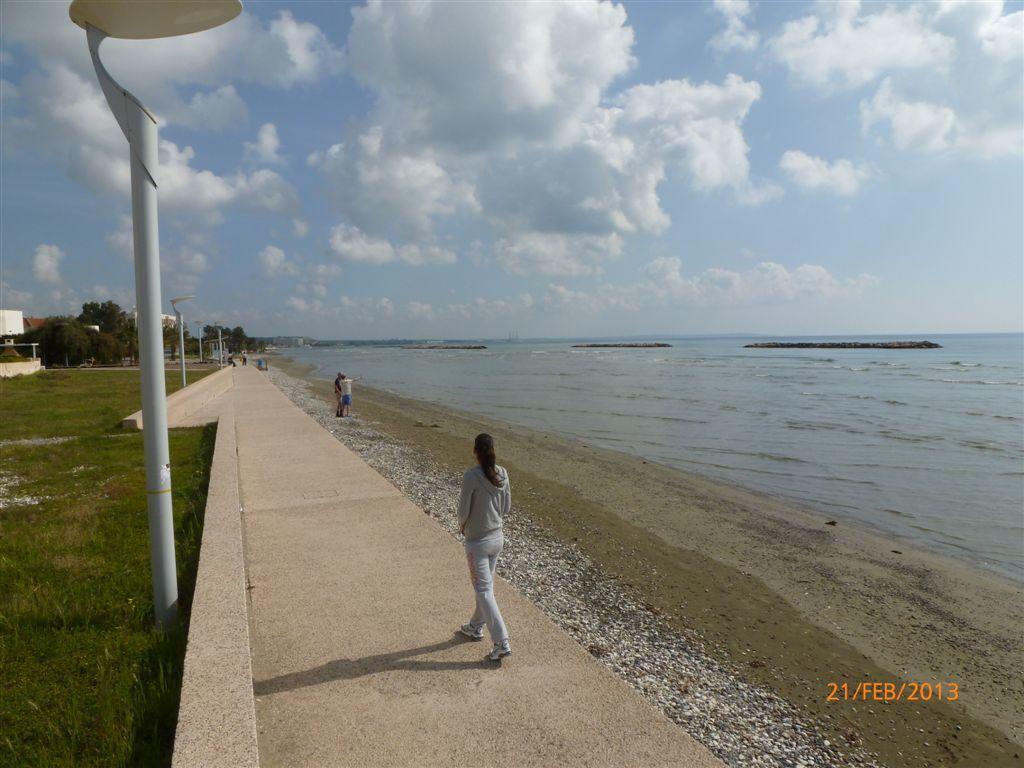 Philippou Beach Villas & Apartments Ларнака Екстериор снимка